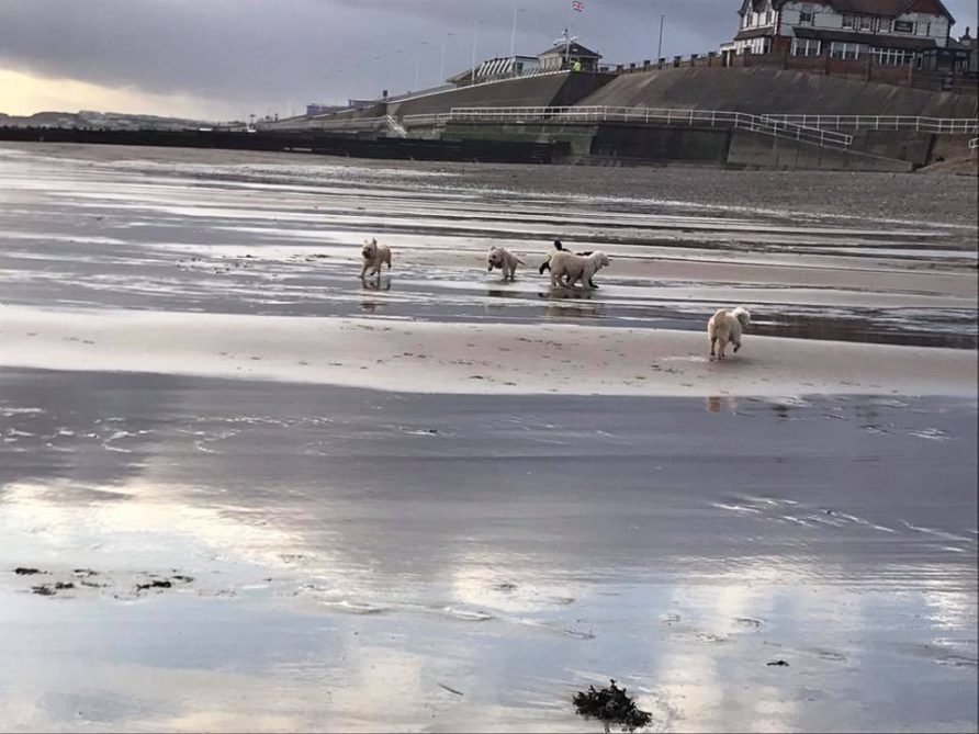 2 Minutes Walk To Beach